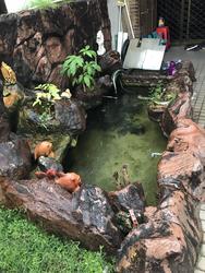 Lucky Gardens (D16), Terrace #147375262